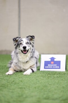 RALLYTOKO EPIKSET 26.12.2025